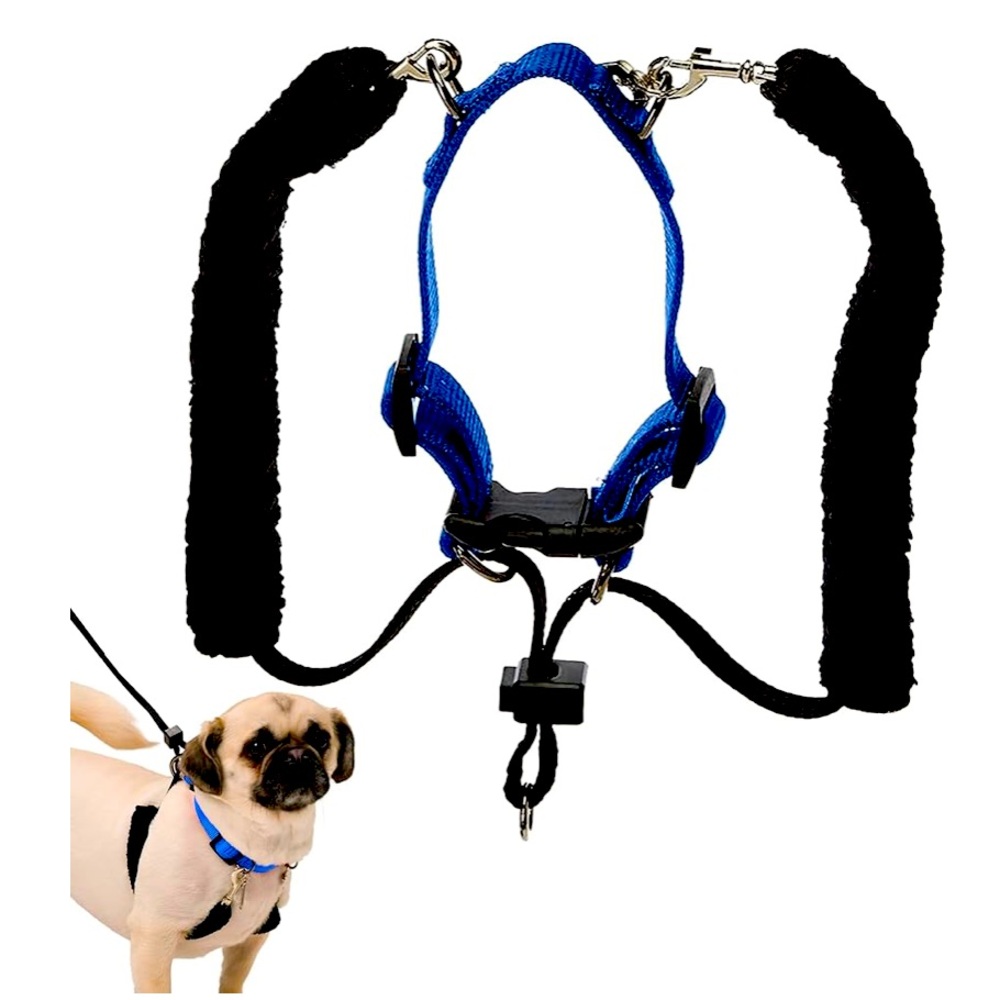 New Sporn Original Training Halter, No Pull Harness Medium Size Dog with Blue